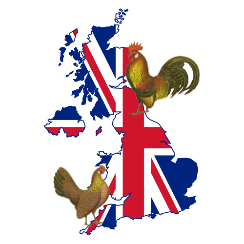 The Dutch Bantam Club of Great Britain